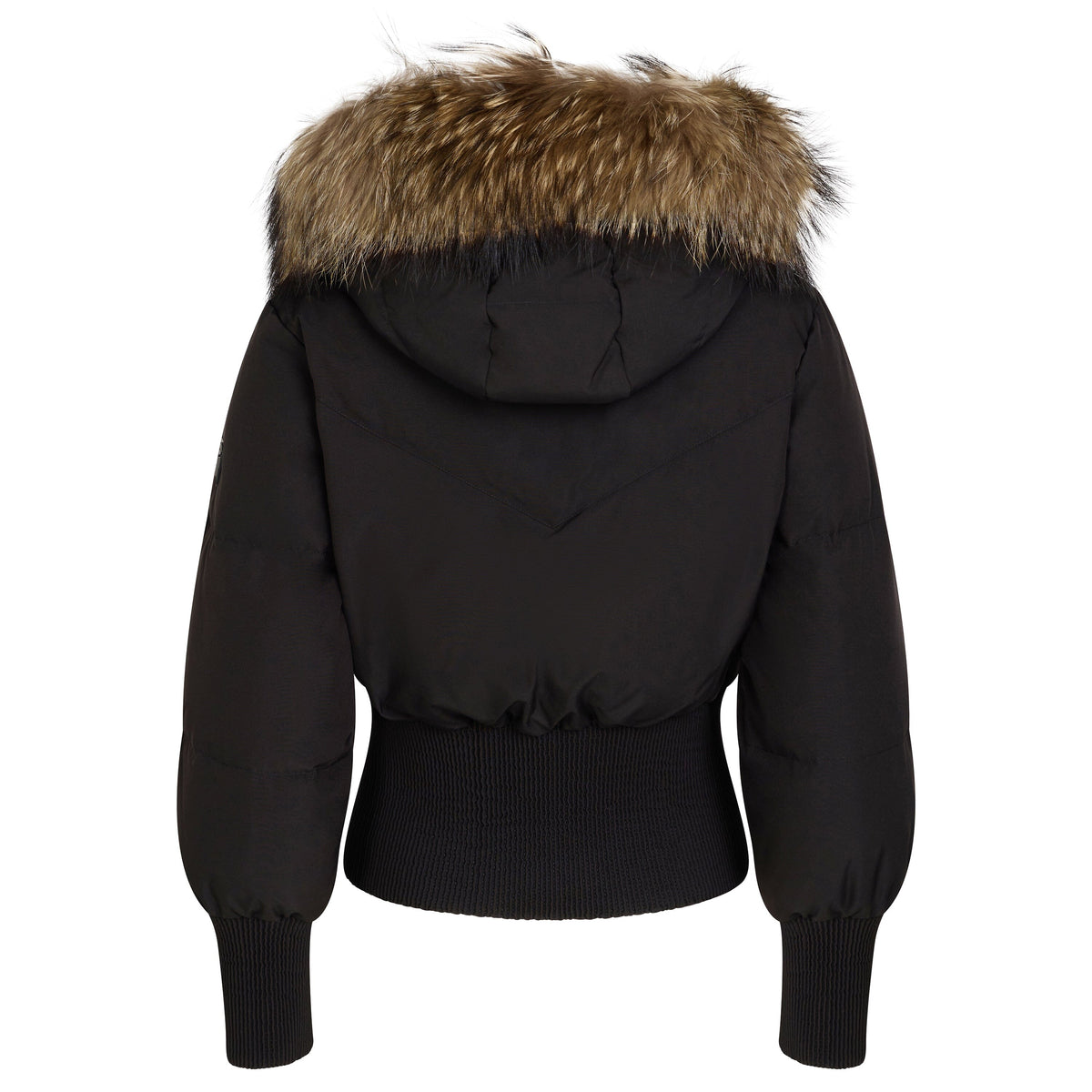 The Ascent Teen Tall Waistband Coat - Black Matte Coat IBIS Outerwear 